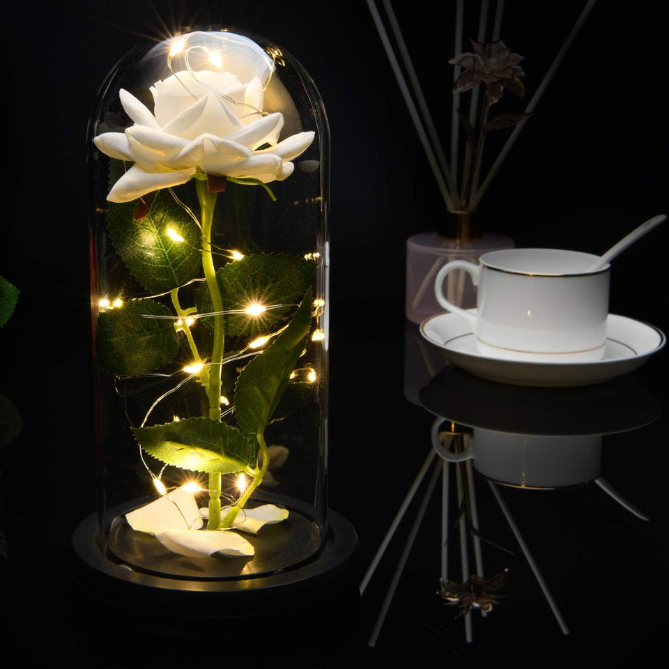 Enchanted Beauty and The Beast Rose in Glass Dome -White