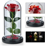 Enchanted Beauty and The Beast Rose in Glass Dome -Red