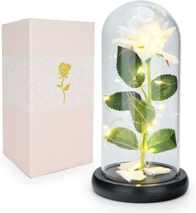 Enchanted Beauty and The Beast Rose in Glass Dome -White