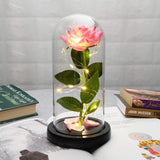 Enchanted Beauty and The Beast Rose in Glass Dome -Pink