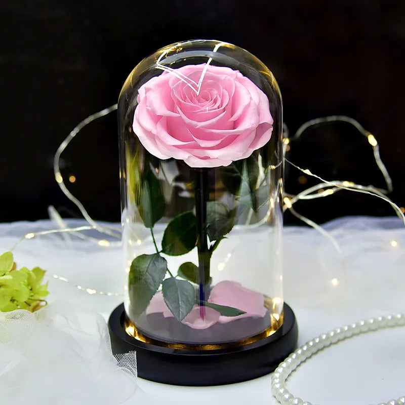 Eternal Rose in Light Glass Box