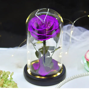 Eternal Rose in Light Glass Box