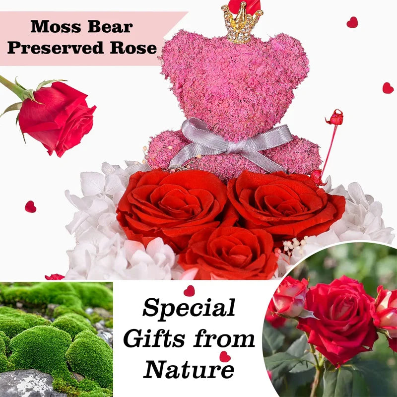 Rose Moss Bear with Light