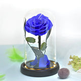 Eternal Rose in Light Glass Box