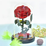 Eternal Rose in Light Glass Box