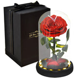 Eternal Rose in Light Glass Box